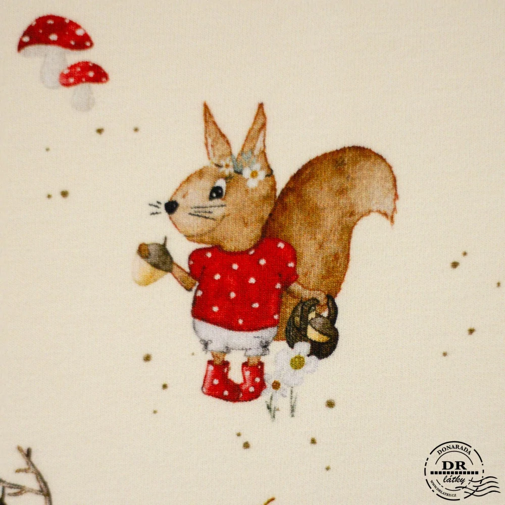 ÚPLET VEVERKA SMETANOVÁ